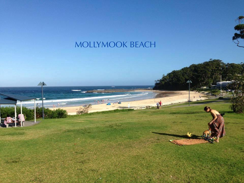 Beach House Mollymook Motel Ngoại thất bức ảnh